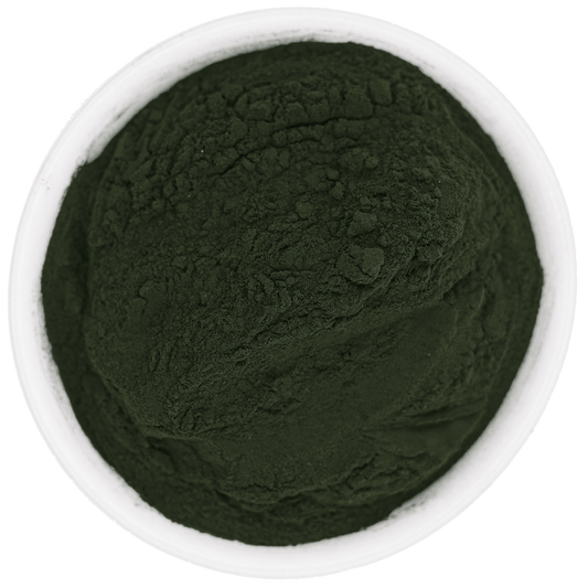 Chlorella für Pferde